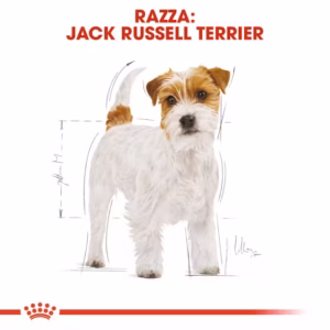 ROYAL CANIN Jack Russel Adult - immagine 6