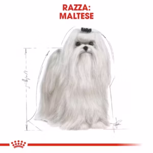 ROYAL CANIN Maltese Adult - immagine 5