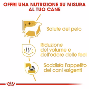 ROYAL CANIN Maltese Adult - immagine 7