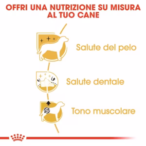 ROYAL CANIN Poodle Adult - immagine 4