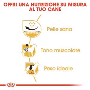 ROYAL CANIN Pug Adult - immagine 7