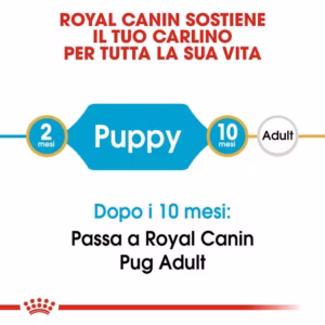 ROYAL CANIN Pug Puppy - immagine 6