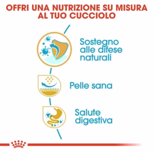 ROYAL CANIN Pug Puppy - immagine 7