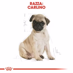 ROYAL CANIN Pug Puppy - immagine 5