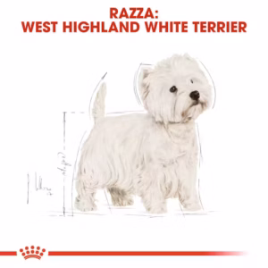 ROYAL CANIN West Highland White Terrier Adult 1,5KG - immagine 5