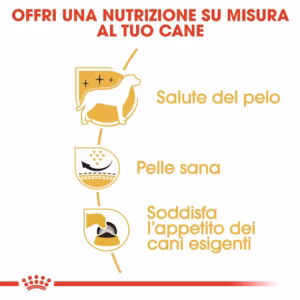 ROYAL CANIN West Highland White Terrier Adult 1,5KG - immagine 7