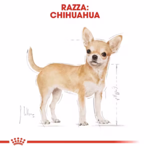 ROYAL CANIN Chihuahua - Paté Umido Completo per Cani Chihuahua - immagine 4
