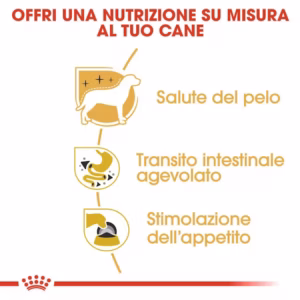 ROYAL CANIN Chihuahua - Paté Umido Completo per Cani Chihuahua - immagine 7