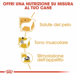 ROYAL CANIN Poodle Paté Umido Completo per Barboncino - immagine 5