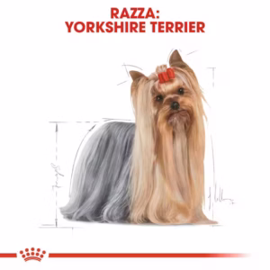 ROYAL CANIN Yorkshire Terrier Paté Umido Completo - immagine 4