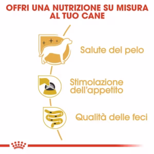 ROYAL CANIN Yorkshire Terrier Paté Umido Completo - immagine 7