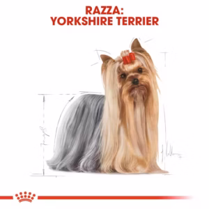 ROYAL CANIN Yorkshire Terrier Adult - immagine 5
