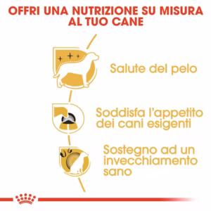 ROYAL CANIN Yorkshire Terrier Adult - immagine 8