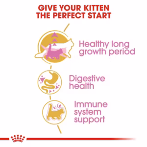 ROYAL CANIN Maine Coon Kitten Alimento secco completo per gattini Maine Coon – Fino a 15 mesi - immagine 8