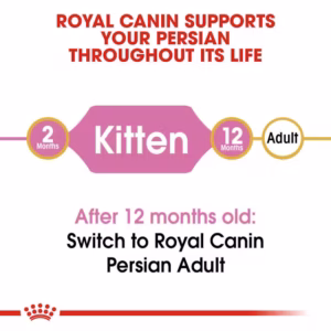 ROYAL CANIN Persian Kitten Alimento secco completo per gattini Persiani – Fino a 12 mesi - immagine 6