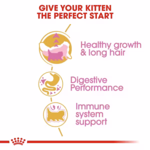 ROYAL CANIN Persian Kitten Alimento secco completo per gattini Persiani – Fino a 12 mesi - immagine 7