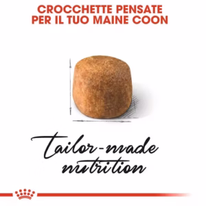 ROYAL CANIN Maine Coon Adult Alimento secco completo per gatti Maine Coon adulti – Oltre 15 mesi - immagine 3