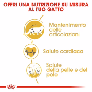 ROYAL CANIN Maine Coon Adult Alimento secco completo per gatti Maine Coon adulti – Oltre 15 mesi - immagine 4
