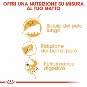 Royal Canin Persian Adult – Alimento Secco per Gatti Persiani (12+ mesi) - immagine 8