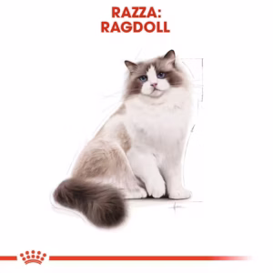 Royal Canin Ragdoll Adult – Alimento Secco per Gatti Ragdoll (12+ mesi) - immagine 5