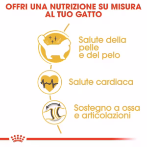 Royal Canin Ragdoll Adult – Alimento Secco per Gatti Ragdoll (12+ mesi) - immagine 7