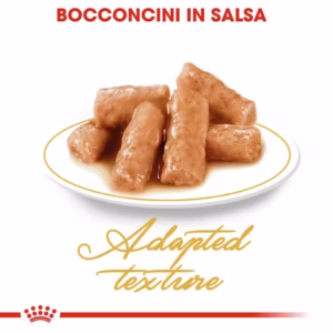 Royal Canin British Shorthair Adult – Bocconcini in Salsa - immagine 7