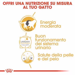 Royal Canin British Shorthair Adult – Bocconcini in Salsa - immagine 8