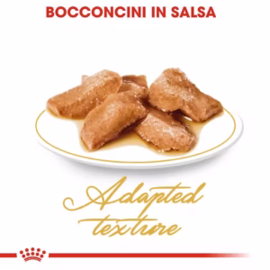 Royal Canin Maine Coon Adult – Fettine in Salsa - immagine 7