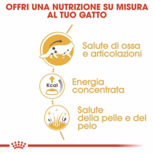 Royal Canin Maine Coon Adult – Fettine in Salsa - immagine 8