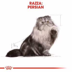 ROYAL CANIN Persian Adult in morbido paté - immagine 5