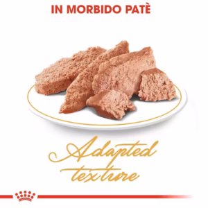 ROYAL CANIN Persian Adult in morbido paté - immagine 6
