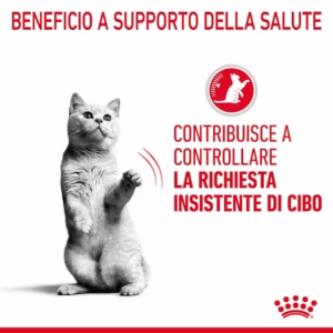 ROYAL CANIN® Appetite Control Care – Alimento umido per gatti adulti - immagine 5