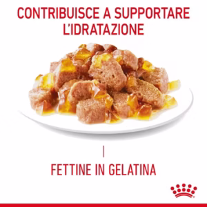 ROYAL CANIN® Appetite Control Care – Alimento umido per gatti adulti - immagine 6