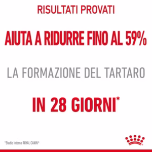 ROYAL CANIN Dental Care Alimento completo per supportare la salute dentale e l’igiene oralez - immagine 4