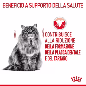 ROYAL CANIN Dental Care Alimento completo per supportare la salute dentale e l’igiene oralez - immagine 5