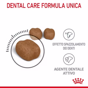 ROYAL CANIN Dental Care Alimento completo per supportare la salute dentale e l’igiene oralez - immagine 6