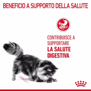 ROYAL CANIN® Digestive Care Alimento secco per gatti adulti - immagine 5