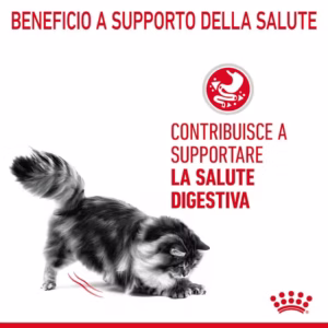 ROYAL CANIN® Digestive Care – Alimento umido per gatti adulti - immagine 5