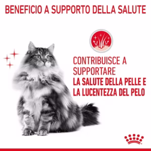 ROYAL CANIN Hair & Skin Care – Alimento umido per gatti adulti - immagine 5