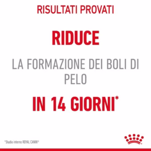 ROYAL CANIN Hairball Care – Alimento secco per gatti adulti - immagine 6
