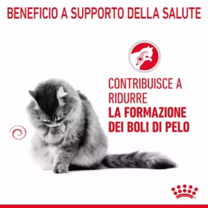 ROYAL CANIN® Hairball Care – Alimento umido per gatti adulti - immagine 5