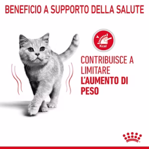 ROYAL CANIN® Light Weight Care Alimento secco per gatti adulti - immagine 6