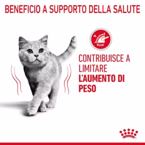 ROYAL CANIN® Light Weight Care – Alimento umido per gatti adulti in salsa - immagine 4