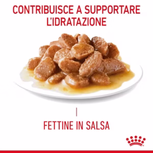 ROYAL CANIN® Light Weight Care – Alimento umido per gatti adulti in salsa - immagine 5