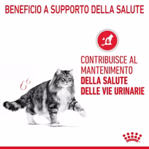 ROYAL CANIN® Urinary Care – Alimento umido per gatti adulti - immagine 5
