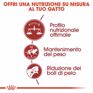 Royal Canin Fit 32 – Alimento secco per gatti adulti - immagine 7