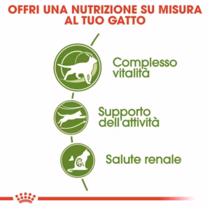 ROYAL CANIN® Outdoor 7+ – Gatti 7–12 anni - immagine 6