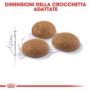 ROYAL CANIN® Outdoor Adult gatto - immagine 6