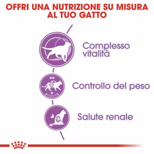 ROYAL CANIN® Sterilised 7+ – Alimento secco per gatti sterilizzati maturi - immagine 7