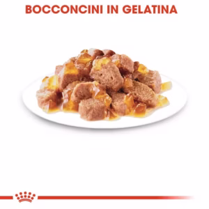 ROYAL CANIN® Sterilised in Gelatina – Fettine in gelatina - immagine 7